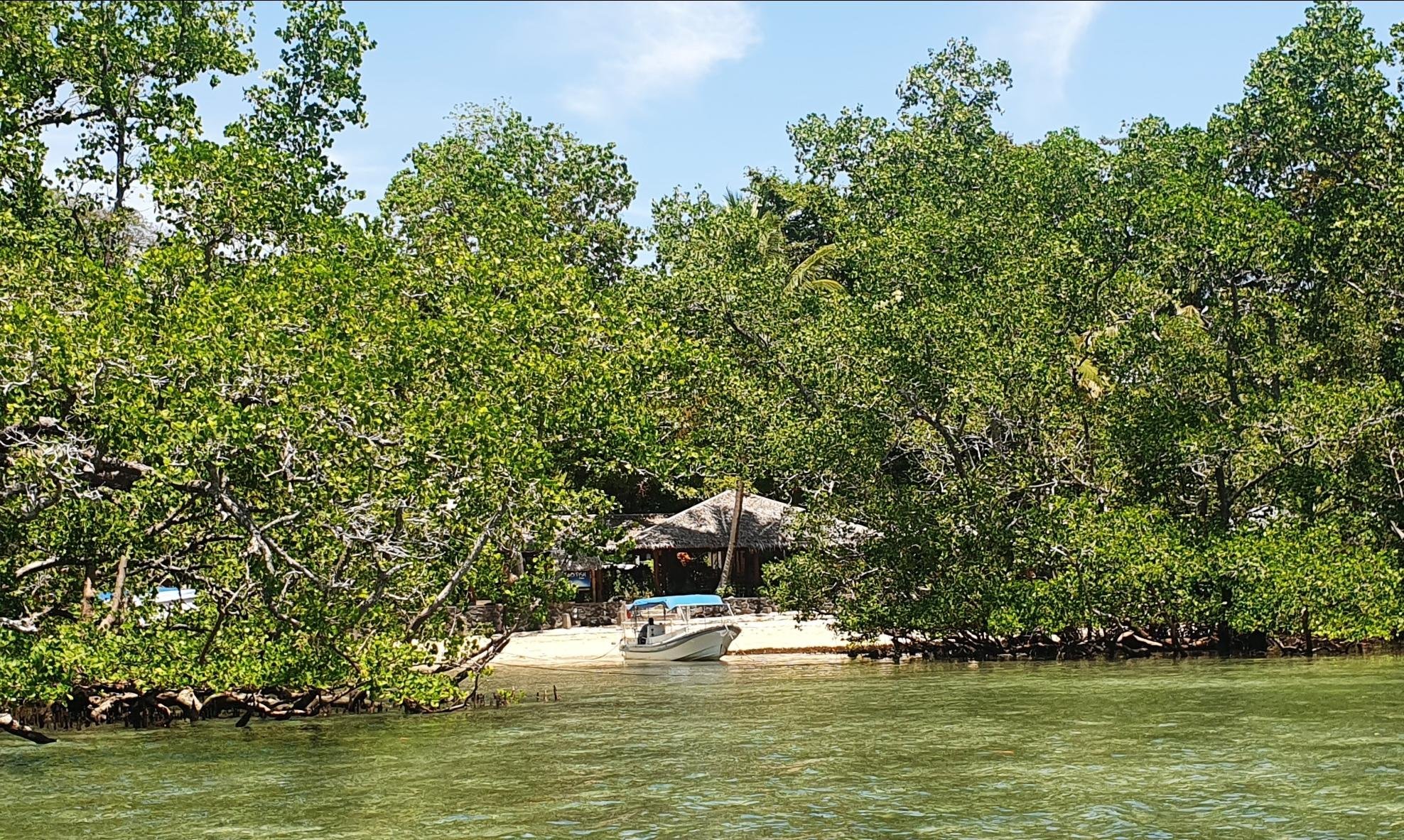 Two Fish divers Bunaken