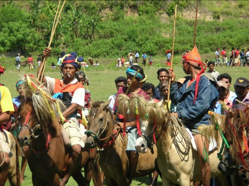 Sumba - Pasola festival