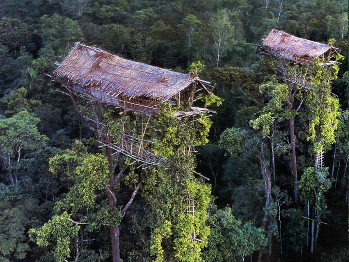 Korowai boomhuizen