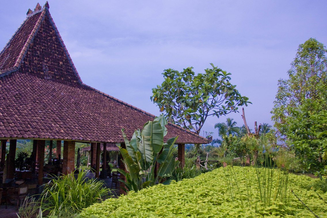 Dago guesthouse - Kampung Padi