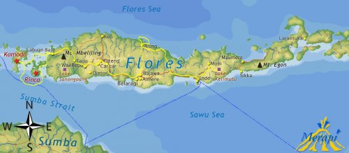 Map Flores 10d