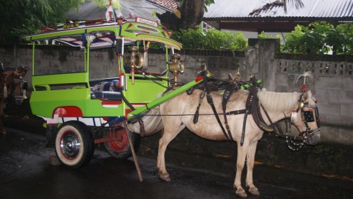 Cidomo Lombok