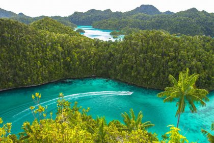 Jewels of Raja Ampat - Misool