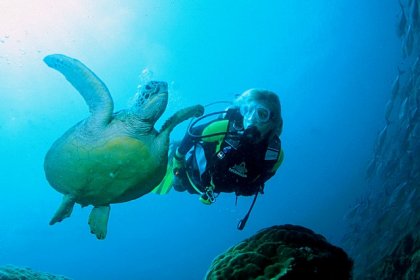 Gili diving - Meno wall