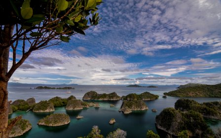 Lady Denok - Raja Ampat