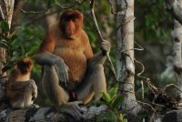 Klik op de afbeelding voor een vergroting