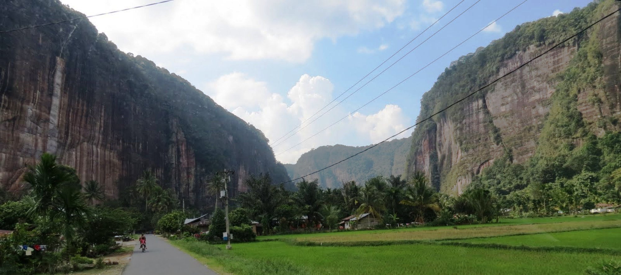 Harau