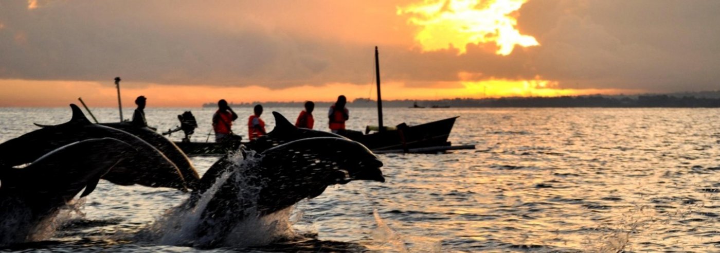 Bali Lovina dolphins