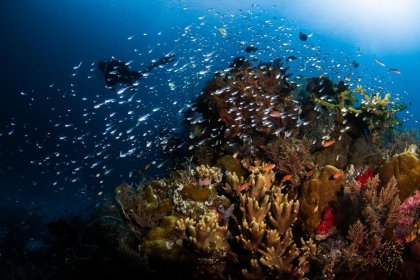 West Komodo from Kalimaya