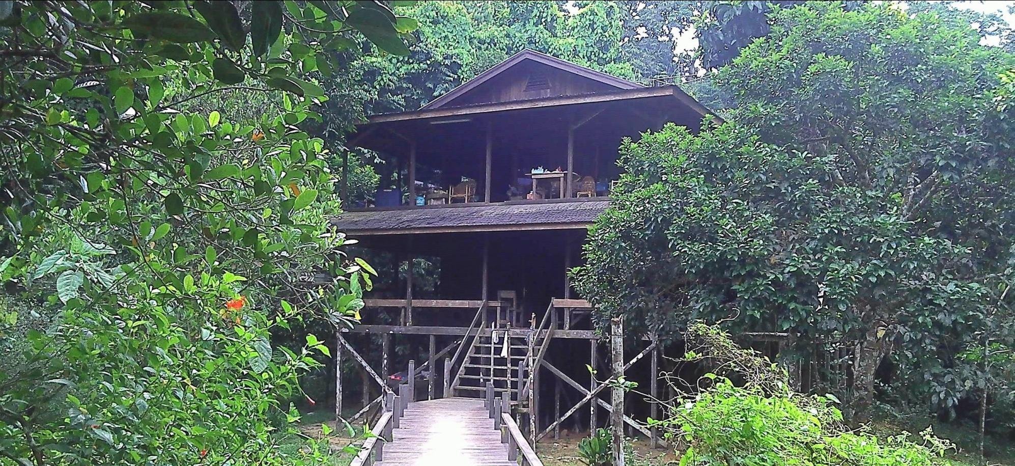 Kutai NP Jungle lodge