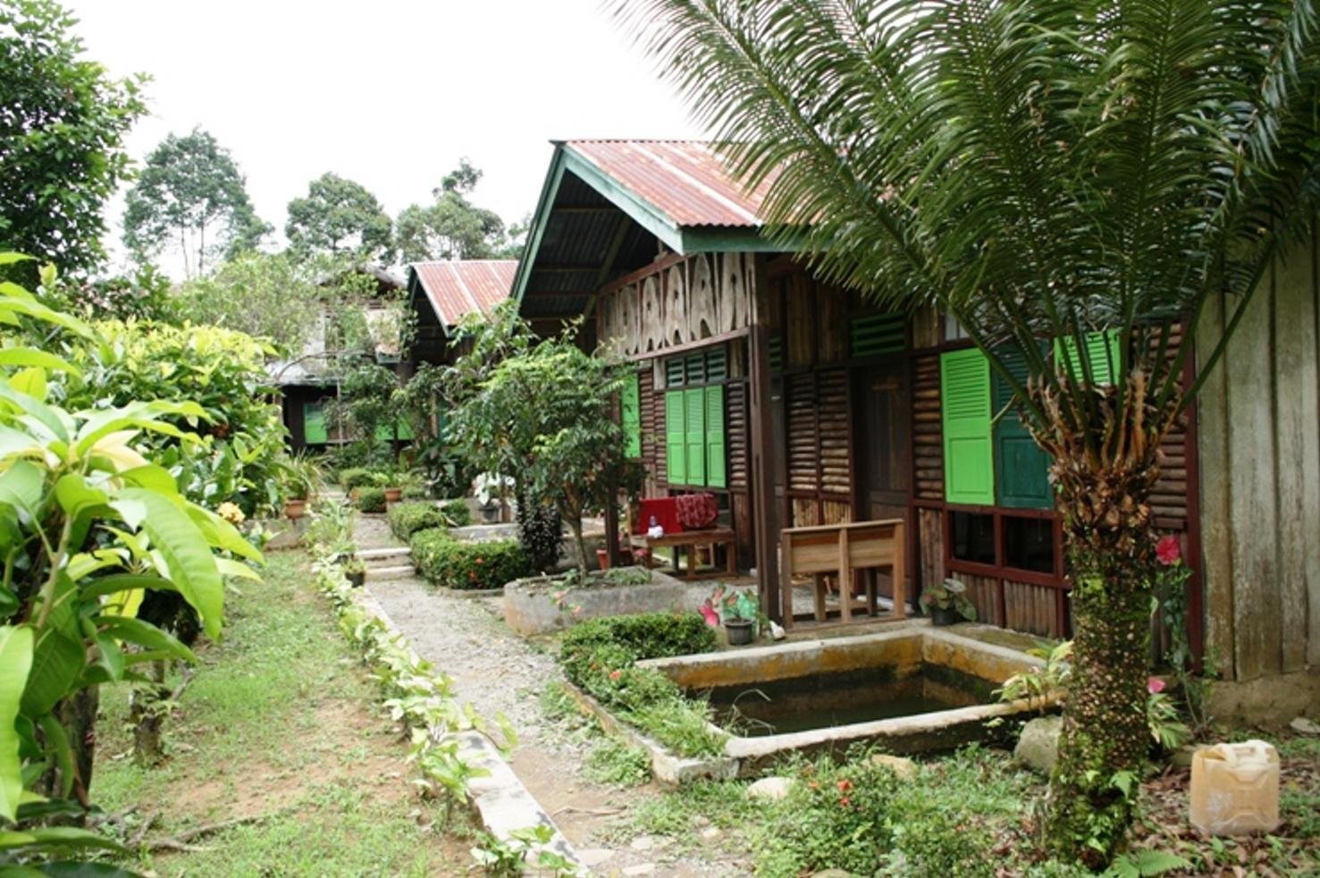 Black tiger lodge Tangkahan